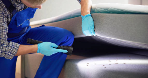 Best Termite Control Services  in Oolitic, IN