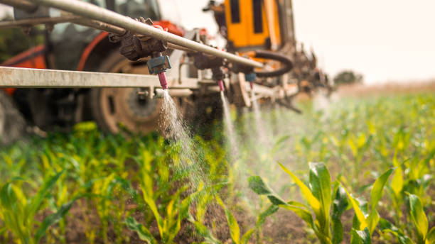 Insect Control in Oolitic, IN